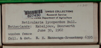 Image Associated With the Occurence